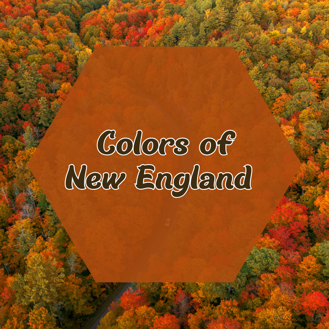 Colors of New England - BSC (1)